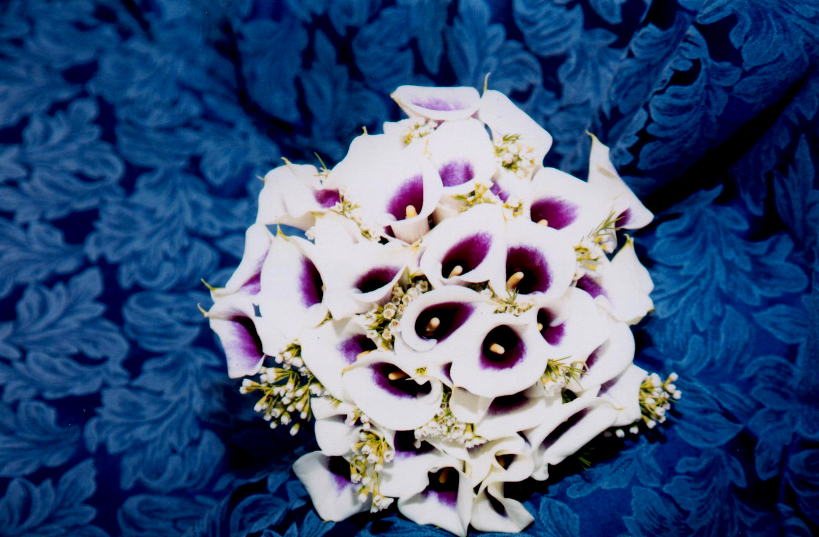 S&K Floral Expressions: Photo Gallery