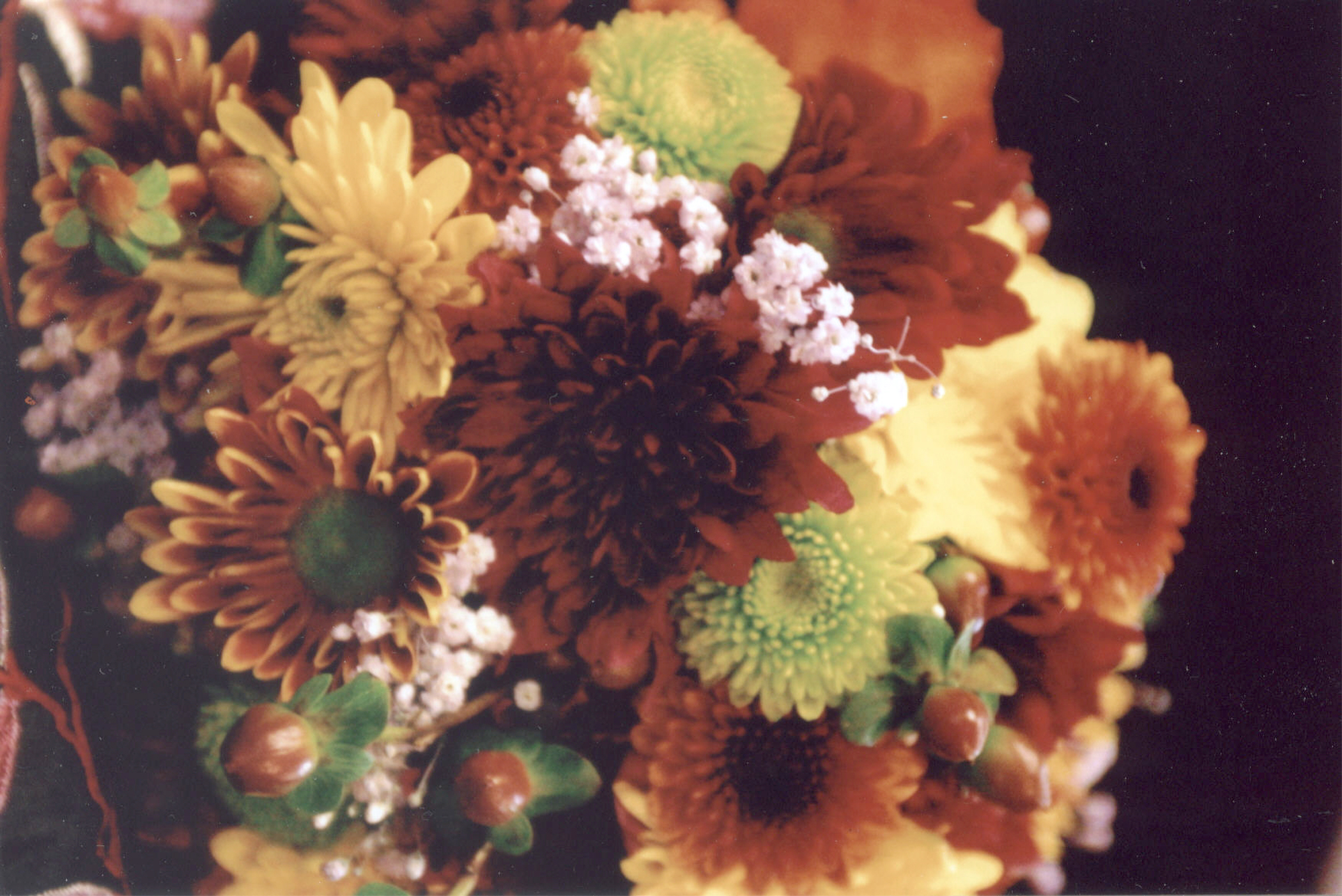 S&K Floral Expressions: Photo Gallery