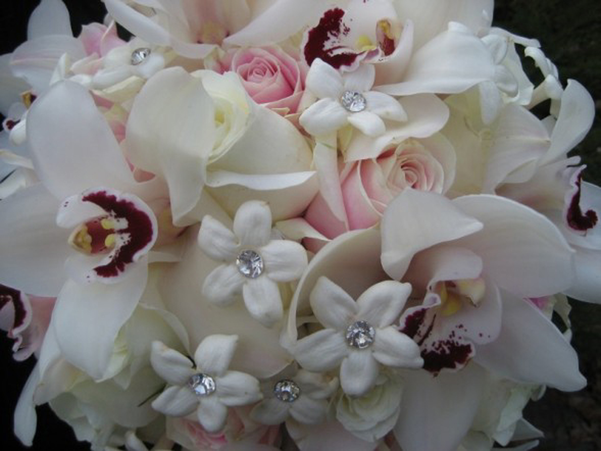 S&K Floral Expressions: Photo Gallery