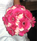 Gerbera Daisy Bouquet