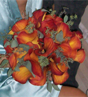 Mango Calla Lily Bouquet