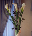 Calla Lily Centerpiece