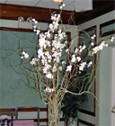 Curly Willow Branches Centerpiece