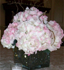 Hydrangea Centerpiece