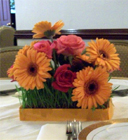 Gerbera Daisy Centerpiece