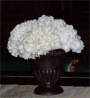 Hydrangea Centerpiece