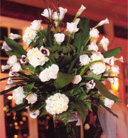Hydrangea Calla Rose Pilsner Centerpiece