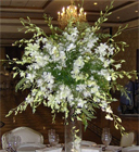 Dendrobium Orchid Centerpiece